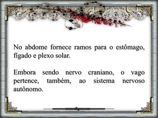 No abdome fornece ramos para o estômago,
fígado e plexo solar.
Embora sendo nervo craniano, o vago
pertence, também, ao sistema nervoso
autônomo.
 