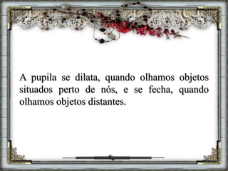 A pupila se dilata, quando olhamos objetos
situados perto de nós, e se fecha, quando
olhamos objetos distantes.
 