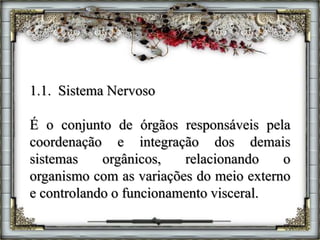 1.1. Sistema Nervoso
É o conjunto de órgãos responsáveis pela
coordenação e integração dos demais
sistemas orgânicos, relacionando o
organismo com as variações do meio externo
e controlando o funcionamento visceral.
 