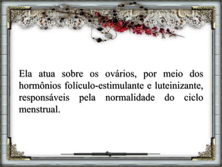 Ela atua sobre os ovários, por meio dos
hormônios folículo-estimulante e luteinizante,
responsáveis pela normalidade do ciclo
menstrual.
 