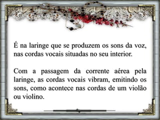 É na laringe que se produzem os sons da voz,
nas cordas vocais situadas no seu interior.
Com a passagem da corrente aérea pela
laringe, as cordas vocais vibram, emitindo os
sons, como acontece nas cordas de um violão
ou violino.
 