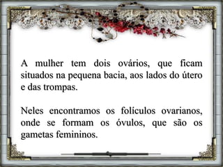 A mulher tem dois ovários, que ficam
situados na pequena bacia, aos lados do útero
e das trompas.
Neles encontramos os folículos ovarianos,
onde se formam os óvulos, que são os
gametas femininos.
 