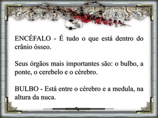 ENCÉFALO - É tudo o que está dentro do
crânio ósseo.
Seus órgãos mais importantes são: o bulbo, a
ponte, o cerebelo e o cérebro.
BULBO - Está entre o cérebro e a medula, na
altura da nuca.
 