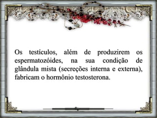 Os testículos, além de produzirem os
espermatozóides, na sua condição de
glândula mista (secreções interna e externa),
fabricam o hormônio testosterona.
 