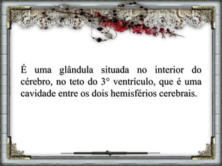 É uma glândula situada no interior do
cérebro, no teto do 3° ventrículo, que é uma
cavidade entre os dois hemisférios cerebrais.
 