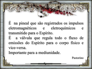 É na pineal que são registrados os impulsos
eletromagnéticos e eletroquímicos e
transmitido para o Espírito.
É a válvula que regula todo o fluxo de
emissões do Espírito para o corpo físico e
vice-versa.
Importante para a mediunidade.
Pastorino
 