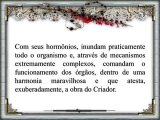 Com seus hormônios, inundam praticamente
todo o organismo e, através de mecanismos
extremamente complexos, comandam o
funcionamento dos órgãos, dentro de uma
harmonia maravilhosa e que atesta,
exuberadamente, a obra do Criador.
 