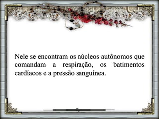 Nele se encontram os núcleos autônomos que
comandam a respiração, os batimentos
cardíacos e a pressão sanguínea.
 
