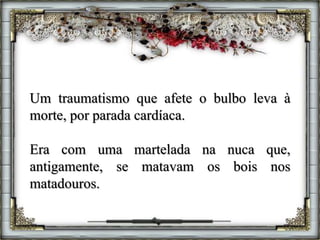 Um traumatismo que afete o bulbo leva à
morte, por parada cardíaca.
Era com uma martelada na nuca que,
antigamente, se matavam os bois nos
matadouros.
 