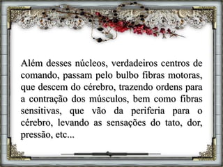 Além desses núcleos, verdadeiros centros de
comando, passam pelo bulbo fibras motoras,
que descem do cérebro, trazendo ordens para
a contração dos músculos, bem como fibras
sensitivas, que vão da periferia para o
cérebro, levando as sensações do tato, dor,
pressão, etc...
 