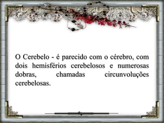 O Cerebelo - é parecido com o cérebro, com
dois hemisférios cerebelosos e numerosas
dobras, chamadas circunvoluções
cerebelosas.
 
