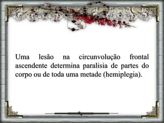 Uma lesão na circunvolução frontal
ascendente determina paralisia de partes do
corpo ou de toda uma metade (hemiplegia).
 