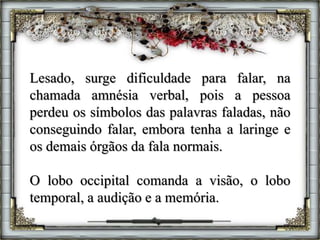 Lesado, surge dificuldade para falar, na
chamada amnésia verbal, pois a pessoa
perdeu os símbolos das palavras faladas, não
conseguindo falar, embora tenha a laringe e
os demais órgãos da fala normais.
O lobo occipital comanda a visão, o lobo
temporal, a audição e a memória.
 