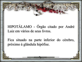 HIPOTÁLAMO - Órgão citado por André
Luiz em vários de seus livros.
Fica situado na parte inferior do cérebro,
próximo à glândula hipófise.
 