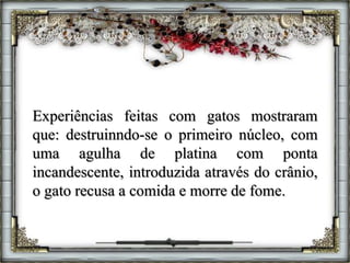Experiências feitas com gatos mostraram
que: destruinndo-se o primeiro núcleo, com
uma agulha de platina com ponta
incandescente, introduzida através do crânio,
o gato recusa a comida e morre de fome.
 