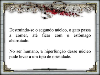 Destruindo-se o segundo núcleo, o gato passa
a comer, até ficar com o estômago
abarrotado.
No ser humano, a hiperfunção desse núcleo
pode levar a um tipo de obesidade.
 