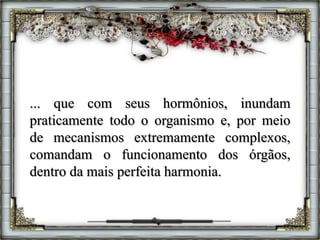 ... que com seus hormônios, inundam
praticamente todo o organismo e, por meio
de mecanismos extremamente complexos,
comandam o funcionamento dos órgãos,
dentro da mais perfeita harmonia.
 
