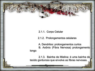 2.1.1. Corpo Celular
2.1.2. Prolongamentos celulares
A. Dendritos: prolongamentos curtos
B. Axônio (Fibra Nervosa) prolongamento
longo
2.1.3. Bainha de Mielina: é uma bainha de
tecido gorduroso que envolve as fibras nervosas.
 