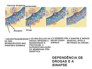 Vesícula Sináptica
Transportado
r

Receptor

Droga

1.NEUROTRANSMISSOR
ES SÃO
REABSORVIDOS NAS
SINAPSES NORMAIS

2.AS MOLÉCULAS DA 3.O NÚMERO DE4.A SINAPSE É MENOS
DROGA IMPEDEM A RECEPTORES SENSÍVEL APÓS A
DIMINUE
RETIRADA DA DROGA
REABSORÇÃO E
PROVOCAM A
SUPERESTIMULAÇÃO
DA MEMBRANA PÓSSINÁPTICA

DEPENDÊNCIA DE
DROGAS E A
SINAPSE

 