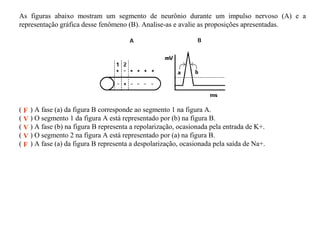 As figuras abaixo mostram um segmento de neurônio durante um impulso nervoso (A) e a
representação gráfica desse fenômeno (B). Analise-as e avalie as proposições apresentadas.

( F ) A fase (a) da figura B corresponde ao segmento 1 na figura A.
( V ) O segmento 1 da figura A está representado por (b) na figura B.
( V ) A fase (b) na figura B representa a repolarização, ocasionada pela entrada de K+.
( V ) O segmento 2 na figura A está representado por (a) na figura B.
( F ) A fase (a) da figura B representa a despolarização, ocasionada pela saída de Na+.

 
