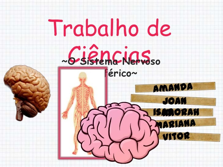 Trabalho de  Ciências ~O Sistema Nervoso     Periférico~                     Joan                   Isadorah              ...