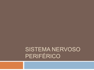 SISTEMA NERVOSO
PERIFÉRICO
 