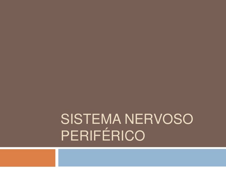 SISTEMA NERVOSOPERIFÉRICO 