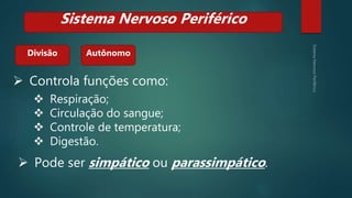Divisão
Sistema Nervoso Periférico
Autônomo
 Controla funções como:
 Respiração;
 Circulação do sangue;
 Controle de temperatura;
 Digestão.
 Pode ser simpático ou parassimpático.
 
