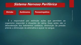 É o responsável por estimular ações que permitem ao
organismo responder a situações de calma. Essas ações são: a
desaceleração dos batimentos cardíacos, diminuição da pressão
arterial, a diminuição da adrenalina e açúcar no sangue.
Divisão
Sistema Nervoso Periférico
Autônomo Parassimpático
 