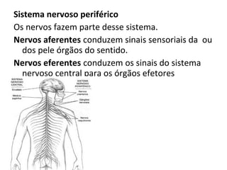 Sistema nervoso periférico
Os nervos fazem parte desse sistema.
Nervos aferentes conduzem sinais sensoriais da ou
dos pele órgãos do sentido.
Nervos eferentes conduzem os sinais do sistema
nervoso central para os órgãos efetores
 