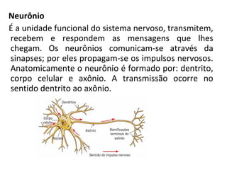 Neurônio
É a unidade funcional do sistema nervoso, transmitem,
recebem e respondem as mensagens que lhes
chegam. Os neurônios comunicam-se através da
sinapses; por eles propagam-se os impulsos nervosos.
Anatomicamente o neurônio é formado por: dentrito,
corpo celular e axônio. A transmissão ocorre no
sentido dentrito ao axônio.
 