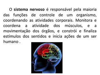O sistema nervoso é responsável pela maioria
das funções de controle de um organismo,
coordenando as atividades corporais. Monitora e
coordena a atividade dos músculos, e a
movimentação dos órgãos, e constrói e finaliza
estímulos dos sentidos e inicia ações de um ser
humano .
 