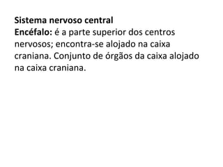 Sistema nervoso central
Encéfalo: é a parte superior dos centros
nervosos; encontra-se alojado na caixa
craniana. Conjunto de órgãos da caixa alojado
na caixa craniana.
 