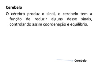 Cerebelo
O cérebro produz o sinal, o cerebelo tem a
função de reduzir alguns desse sinais,
controlando assim coordenação e equilíbrio.
Cerebelo
 