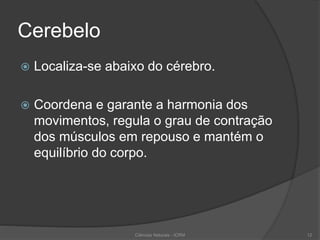 Cerebelo
 Localiza-se abaixo do cérebro.
 Coordena e garante a harmonia dos
movimentos, regula o grau de contração
dos músculos em repouso e mantém o
equilíbrio do corpo.
Ciências Naturais - ICRM 12
 