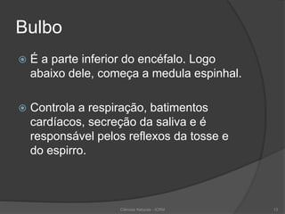 Bulbo
 É a parte inferior do encéfalo. Logo
abaixo dele, começa a medula espinhal.
 Controla a respiração, batimentos
cardíacos, secreção da saliva e é
responsável pelos reflexos da tosse e
do espirro.
Ciências Naturais - ICRM 13
 