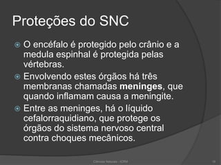Proteções do SNC
 O encéfalo é protegido pelo crânio e a
medula espinhal é protegida pelas
vértebras.
 Envolvendo estes órgãos há três
membranas chamadas meninges, que
quando inflamam causa a meningite.
 Entre as meninges, há o líquido
cefalorraquidiano, que protege os
órgãos do sistema nervoso central
contra choques mecânicos.
Ciências Naturais - ICRM 16
 