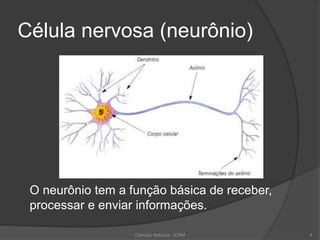 Célula nervosa (neurônio)
O neurônio tem a função básica de receber,
processar e enviar informações.
Ciências Naturais - ICRM 4
 