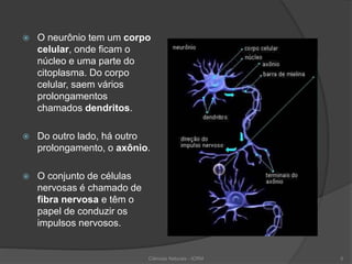  O neurônio tem um corpo
celular, onde ficam o
núcleo e uma parte do
citoplasma. Do corpo
celular, saem vários
prolongamentos
chamados dendritos.
 Do outro lado, há outro
prolongamento, o axônio.
 O conjunto de células
nervosas é chamado de
fibra nervosa e têm o
papel de conduzir os
impulsos nervosos.
Ciências Naturais - ICRM 5
 