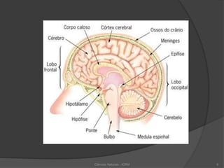 Ciências Naturais - ICRM 8
 