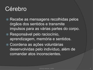 Cérebro
 Recebe as mensagens recolhidas pelos
órgãos dos sentidos e transmite
impulsos para as várias partes do corpo.
 Responsável pelo raciocínio,
aprendizagem, memória e sentidos.
 Coordena as ações voluntárias
desenvolvidas pelo indivíduo, além de
comandar atos inconscientes.
Ciências Naturais - ICRM 9
 