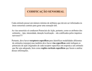 CODIFICAÇÃO SENSORIAL
Cada estímulo possui um número mínimo de atributos que devem ser informados às
áreas sensoriais centrais para gerar uma sensação útil.
As vias sensoriais só conduzem Potenciais de Ação, portanto, como os atributos dos
estímulos – tipo, intensidade, duração localização – são codificados pelos impulsos
nervosos???
Portanto, deve haver receptores específicos para identificar modalidades diferentes
de estímulos (energia) mas também deve haver vias específicas onde trafegam os
potenciais de ação originados de cada receptor específico em resposta a um estímulo
que lhe seja adequado, bem como regiões corticais específicas que fazem a análise
dessas informações.
 