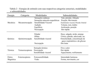 Tabela 2 – Energias de estímulo com suas respectivas categorias sensoriais, modalidades
e submodalidades.
Energia Categoria Modalidades Submodalidades
Sensações cutâneas Tato, pressão, vibração
Sensações músculo-esqueléticas Posição, Movimento
Mecânica Mecanorrecepção Sensibilidade Visceral Enchimento visceral, Pressão Arterial
Audição Volume, tom, timbre
Equilíbrio Aceleração, posição
Nocicepção Dor rápida
Paladar Doce, salgado, ácido, amargo
Olfato Cítrico, pútrido, adocicado, etc.
Química Quimiorrecepção Sensibilidade visceral Osmolaridade, concentração de
gases respiratórios e de glicose
Nocicepção Dor lenta
Sensação térmica Frio e calor
Térmica Termorreceptores Nocicepção Dor rápida
Sensibilidade visceral Aquecimento, resfriamento
Eletro- Fotorreceptores Fotossensibilidade Intensidade luminosa
Magnética Visão Forma, movimento, cor
 