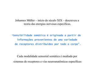 Johannes Müller – início do século XIX – descreveu a
teoria das energias nervosas específicas.
“Sensibilidade somSensibilidade somSensibilidade somSensibilidade somááááticaticaticatica éééé originada a partir deoriginada a partir deoriginada a partir deoriginada a partir de
informainformainformainformaçççções provenientes de uma variedadeões provenientes de uma variedadeões provenientes de uma variedadeões provenientes de uma variedade
de receptores distribude receptores distribude receptores distribude receptores distribuíííídos por todo o corpodos por todo o corpodos por todo o corpodos por todo o corpo””””....
Cada modalidade sensorial somática é mediada por
sistemas de receptores e vias neuroanatômicas específicas
 