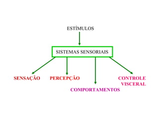 SISTEMAS SENSORIAIS
ESTÍMULOS
SENSAÇÃO PERCEPÇÃO CONTROLE
VISCERAL
COMPORTAMENTOS
 