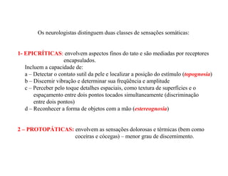 Os neurologistas distinguem duas classes de sensações somáticas:
1- EPICRÍTICAS: envolvem aspectos finos do tato e são mediadas por receptores
encapsulados.
Incluem a capacidade de:
a – Detectar o contato sutil da pele e localizar a posição do estímulo (topognosia)
b – Discernir vibração e determinar sua freqüência e amplitude
c – Perceber pelo toque detalhes espaciais, como textura de superfícies e o
espaçamento entre dois pontos tocados simultaneamente (discriminação
entre dois pontos)
d – Reconhecer a forma de objetos com a mão (estereognosia)
2 – PROTOPÁTICAS: envolvem as sensações dolorosas e térmicas (bem como
coceiras e cócegas) – menor grau de discernimento.
 