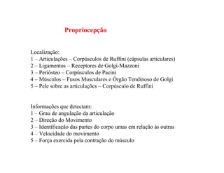 Propriocepção
Localização:
1 – Articulações – Corpúsculos de Ruffini (cápsulas articulares)
2 – Ligamentos – Receptores de Golgi-Mazzoni
3 – Periósteo – Corpúsculos de Pacini
4 – Músculos – Fusos Musculares e Órgão Tendinoso de Golgi
5 – Pele sobre as articulações – Corpúsculo de Ruffini
Informações que detectam:
1 – Grau de angulação da articulação
2 – Direção do Movimento
3 – Identificação das partes do corpo umas em relação às outras
4 – Velocidade do movimento
5 – Força exercida pela contração do músculo
 