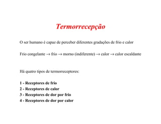 Termorrecepção
O ser humano é capaz de perceber diferentes gradações de frio e calor
Frio congelante → frio → morno (indiferente) → calor → calor escaldante
Há quatro tipos de termorreceptores:
1 - Receptores de frio
2 - Receptores de calor
3 - Receptores de dor por frio
4 - Receptores de dor por calor
 