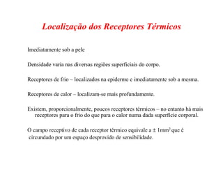Localização dos Receptores Térmicos
Imediatamente sob a pele
Densidade varia nas diversas regiões superficiais do corpo.
Receptores de frio – localizados na epiderme e imediatamente sob a mesma.
Receptores de calor – localizam-se mais profundamente.
Existem, proporcionalmente, poucos receptores térmicos – no entanto há mais
receptores para o frio do que para o calor numa dada superfície corporal.
O campo receptivo de cada receptor térmico equivale a ± 1mm2 que é
circundado por um espaço desprovido de sensibilidade.
 