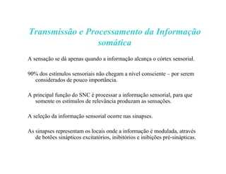 Transmissão e Processamento da Informação
somática
A sensação se dá apenas quando a informação alcança o córtex sensorial.
90% dos estímulos sensoriais não chegam a nível consciente – por serem
considerados de pouco importância.
A principal função do SNC é processar a informação sensorial, para que
somente os estímulos de relevância produzam as sensações.
A seleção da informação sensorial ocorre nas sinapses.
As sinapses representam os locais onde a informação é modulada, através
de botões sinápticos excitatórios, inibitórios e inibições pré-sinápticas.
 